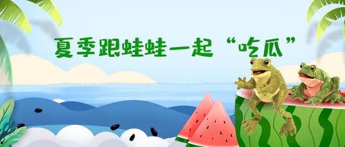 东北蛙吃瓜,揭秘蛙类与瓜果的奇妙邂逅